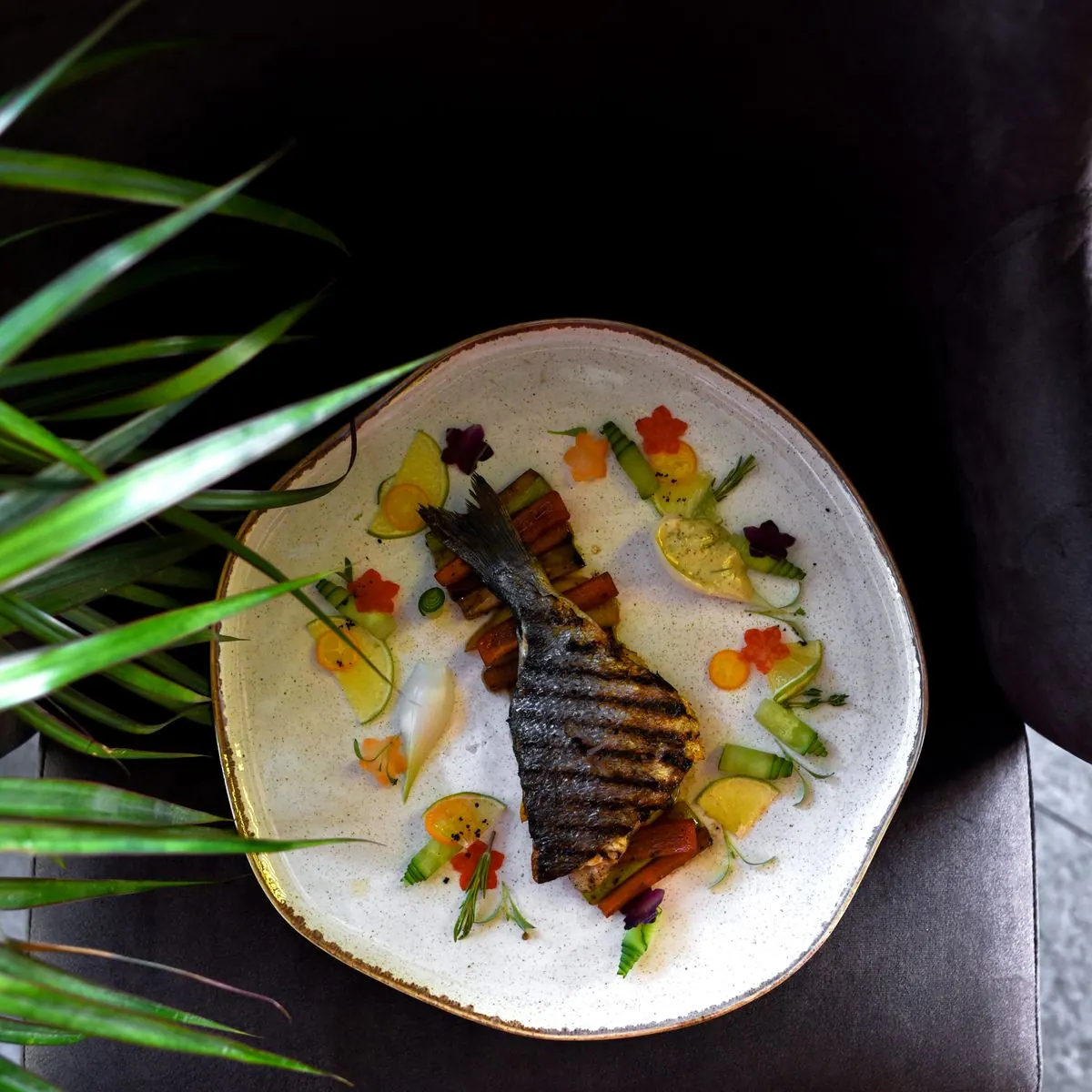 Plato de pescado como muestra visual